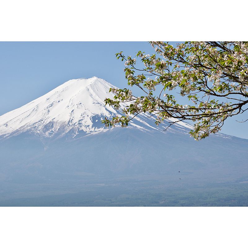 Mountain Landscapes Mildew Resistant Wall Mural Wallpaper Pattern for Home