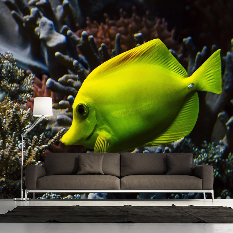 Photography Wall Mural Fish Patterned Sitting Room Wall Mural