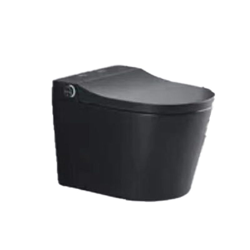 Elongated Wall Mounted Bidet Smart Bidet with Warm Air Dryer