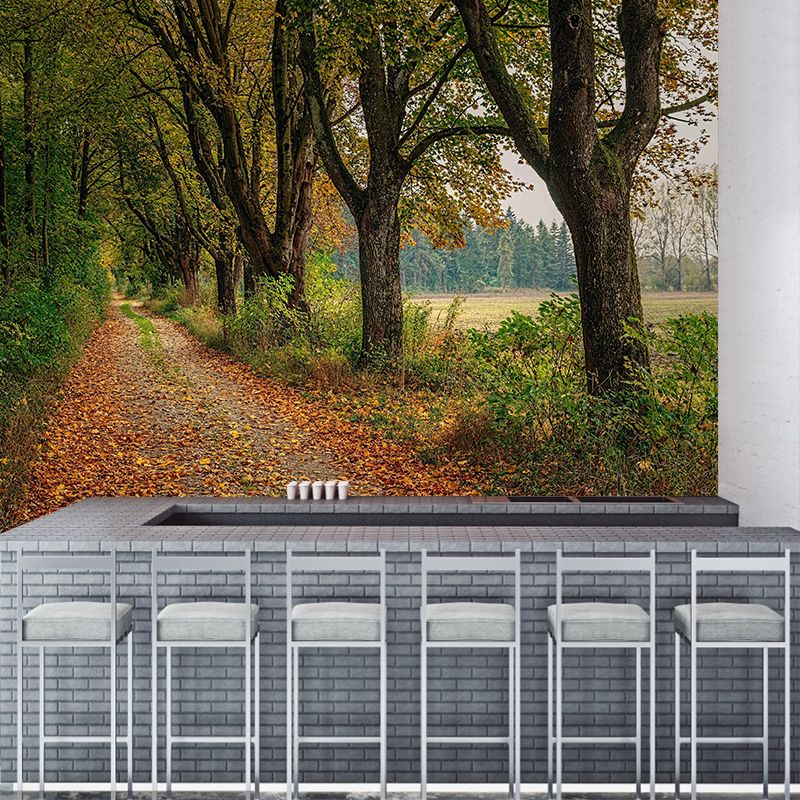 Photographic Summer Forest Mural Mildew Resistant Wall Decor for House Interior