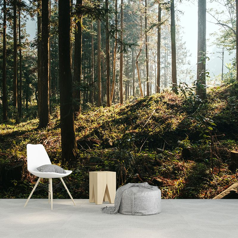 Environmental Wall Mural Wallpaper Forest Scenery Living Room Wall Mural