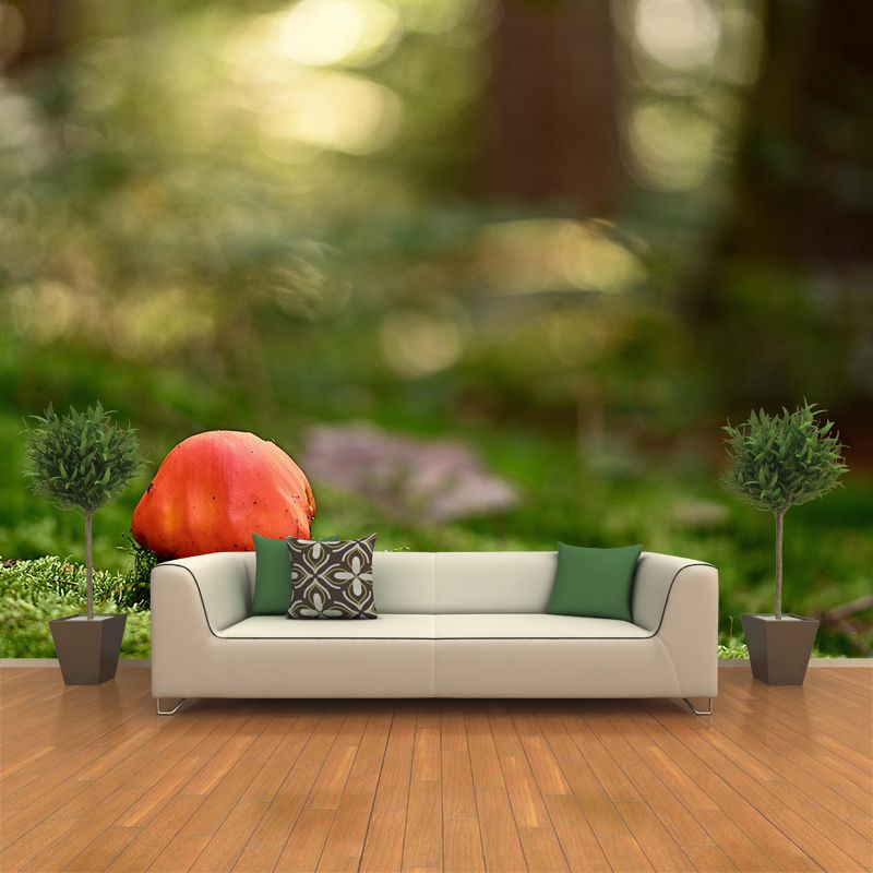 Photography Toadstool Mural Wallpaper Eco-friendly Contemporary Wall Murals