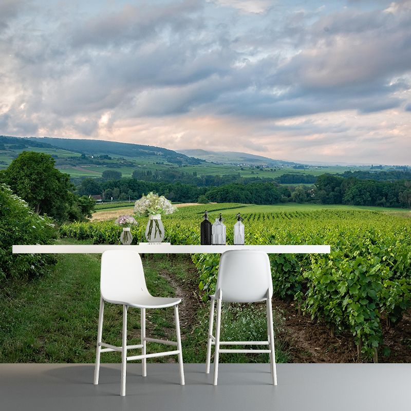 Customized Modern Grapevine Mural Wallpaper Green Plants Mildew Resistant