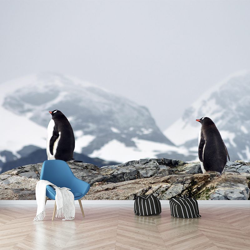 Modern Penguin Mural Wall Decor Mildew Resistant Living Room Wall Mural for Wall Decor