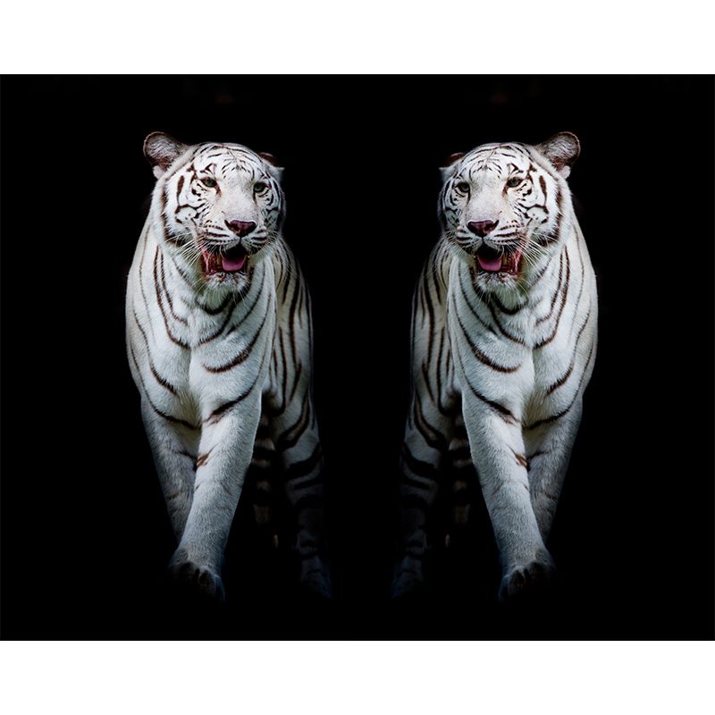 Modern Tigers Mural Wallpaper for Girls Bedroom Full Size Wall Covering in Black