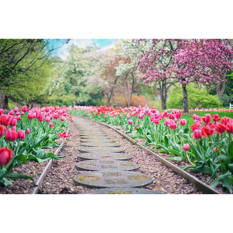 Decorative Wall Mural Wallpaper Outdoor Path Sitting Room Wall Mural