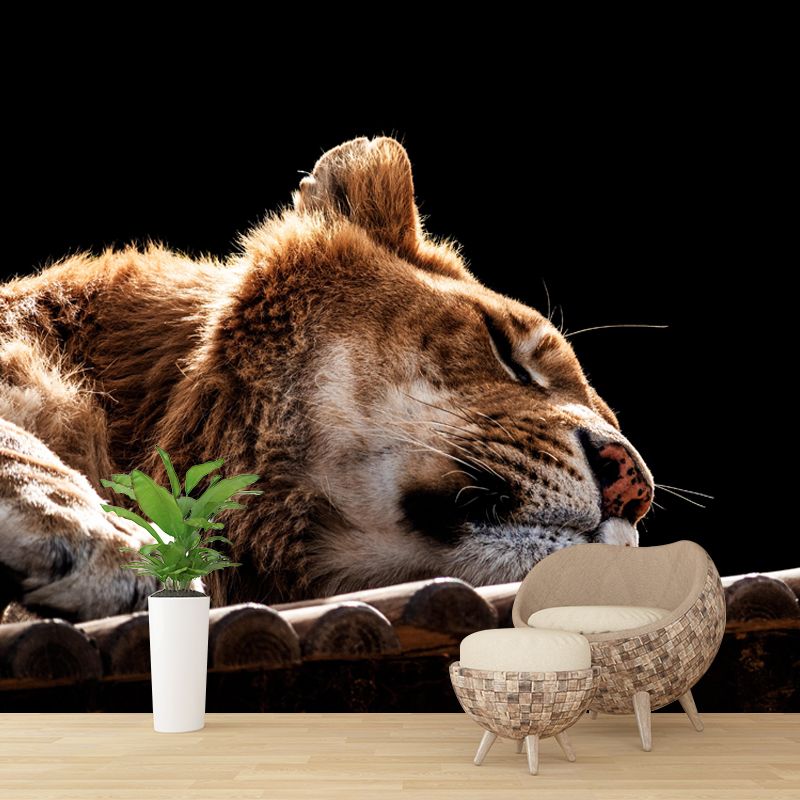 Modern Lioness Mural Wallpaper Moisture Resistant Living Room Wall Covering