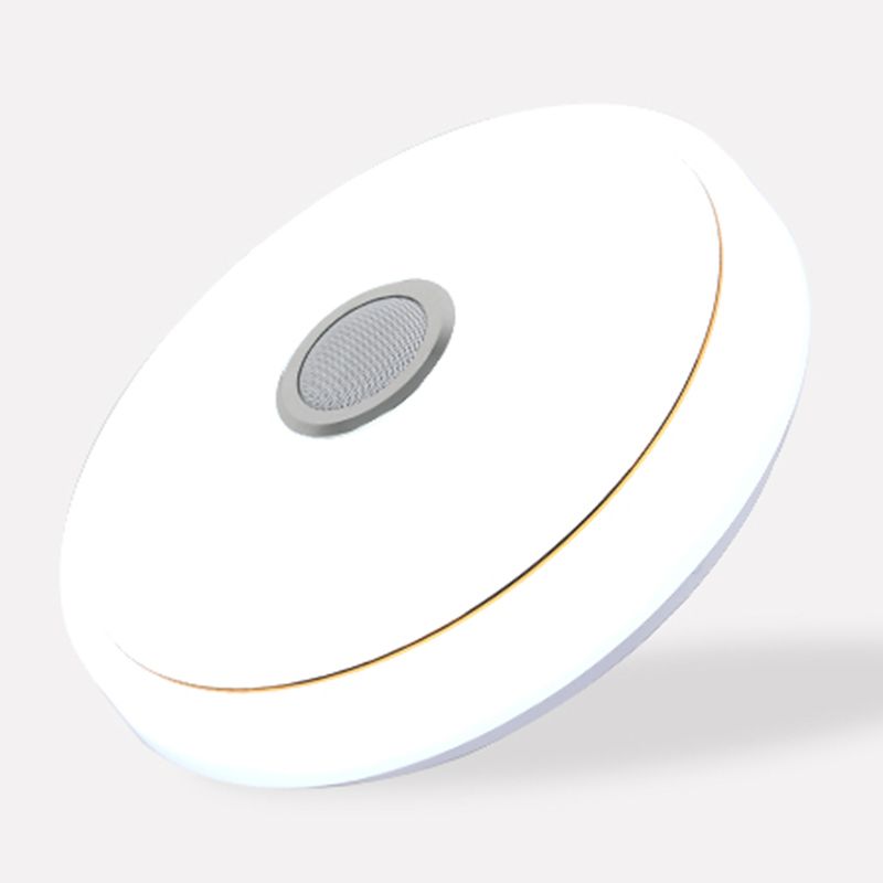 Simple Ceiling Light Fixture Acrylic Bluetooth LED Bedroom Ceiling Flush Mount in White