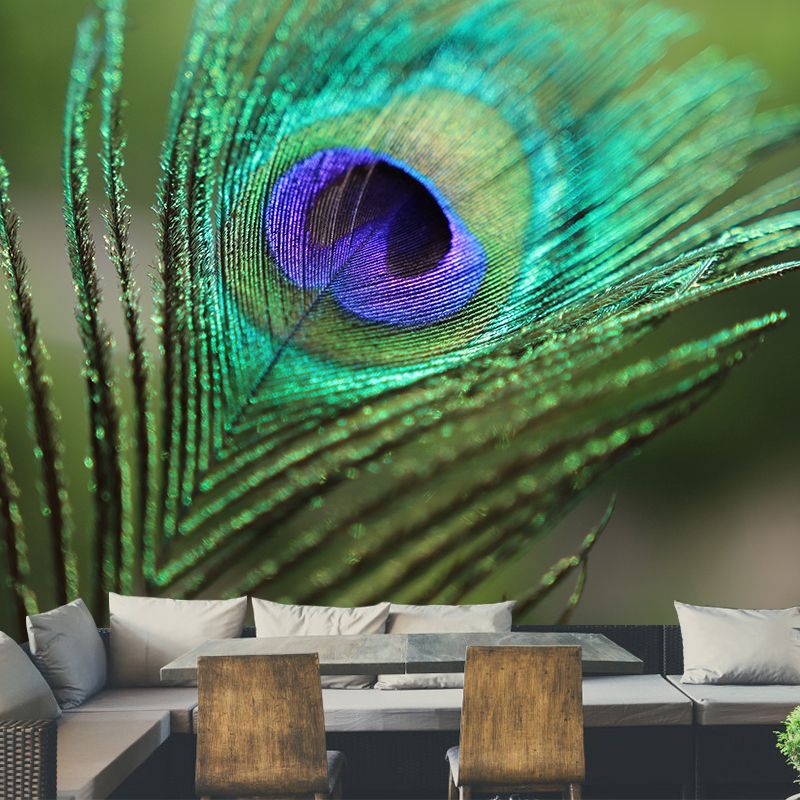 Tropical Style Peacock Feather Mural Decal for Living Room, Custom Size