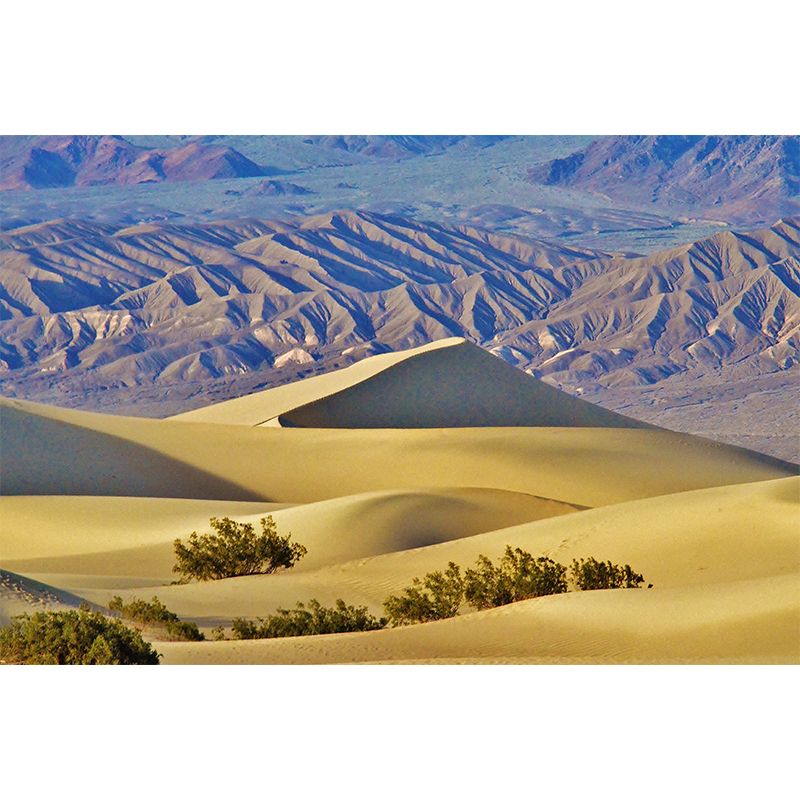 Photography Desert Scenery in Yellow Mural Wallpaper for Home Decor, Full Size