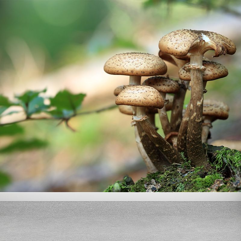 Mushroom Plant Modern Style Mural Environment Friendly Wallpaper for Home Decor