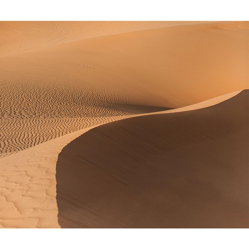 Mildew Resistant Wall Endless Desert Wallpaper Bedroom Wall Mural