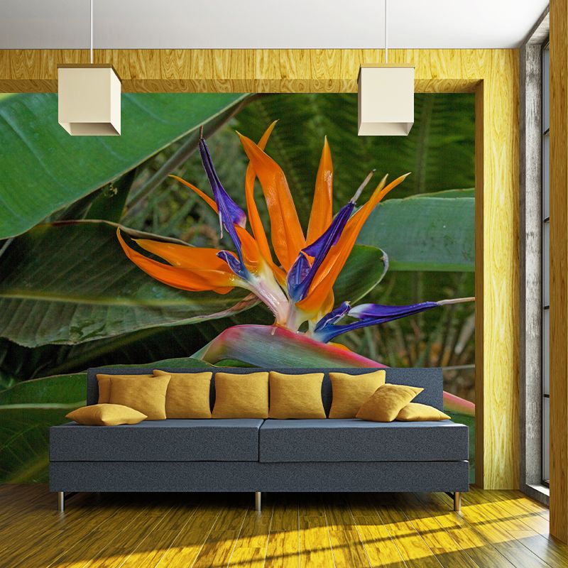 Bird of Paradise Flower Mural Wall Covering Decorative Mildew Resistant for Living Room