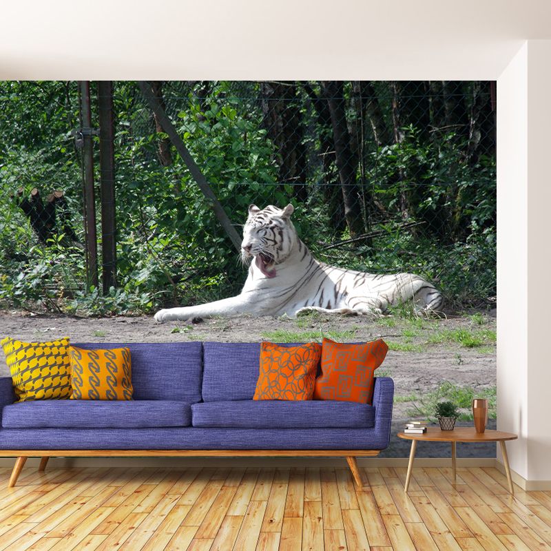 Tiger Animal Wall Mural Stain Resistant Wall Covering for Living Room Bedroom