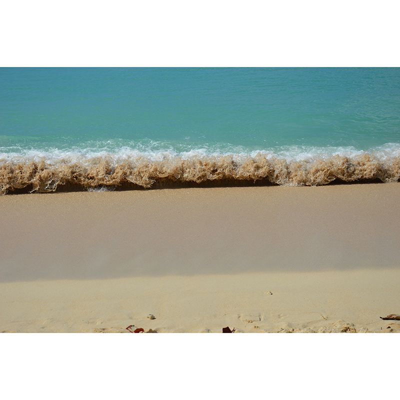 Romantic Beach Mural Wallpaper Stain Resistant Wall Art for Guest Room Decor