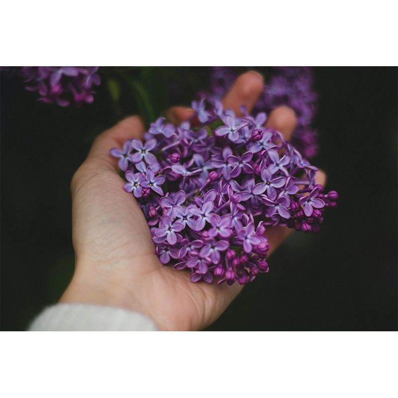 Stain Resistant Decorative Murals Flower Room Wall Murals Wallpaper