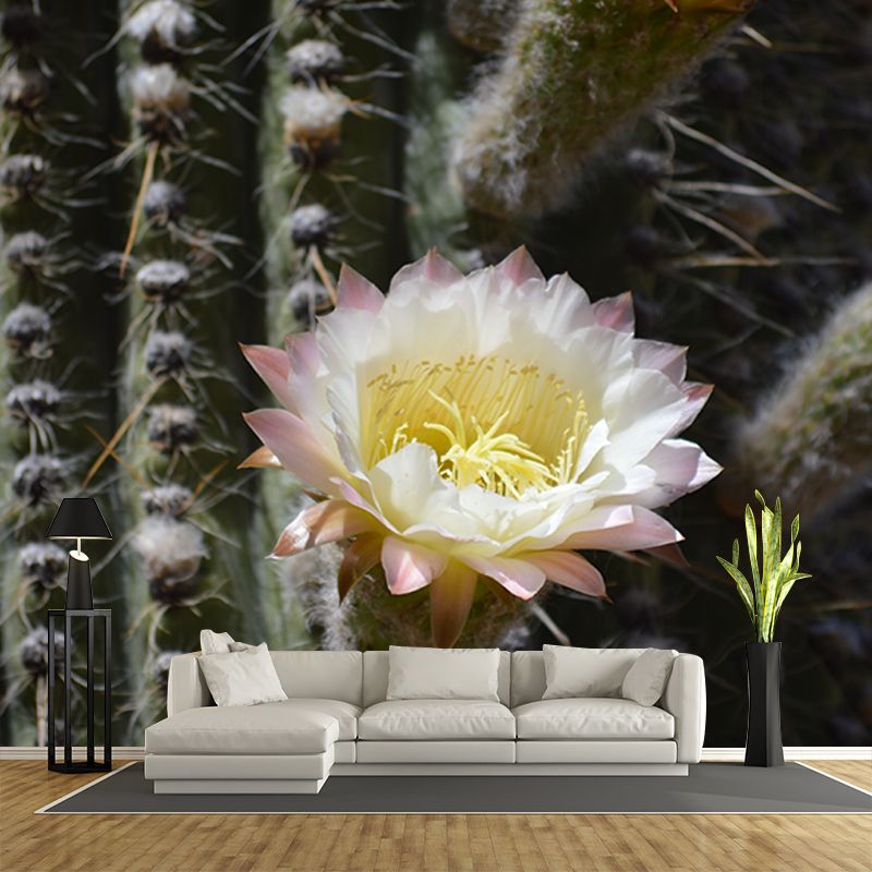 Tropical Plants Mural Decal Customized Modern Wall Covering for House Interior