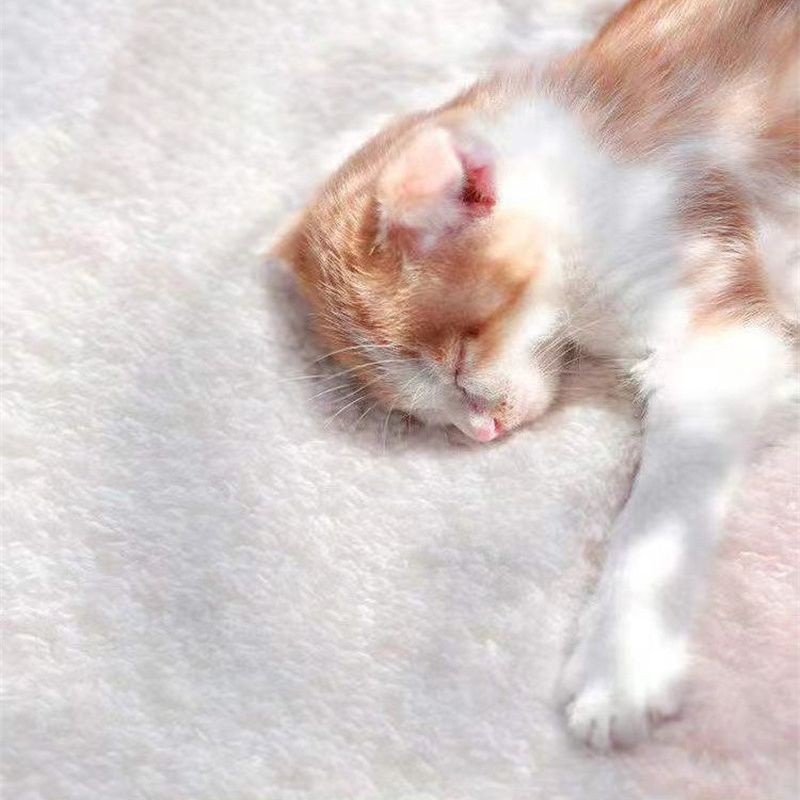 Beige Color Block Rug Polyester Nordic Indoor Rug Non-Slip Backing Rug for Drawing Room