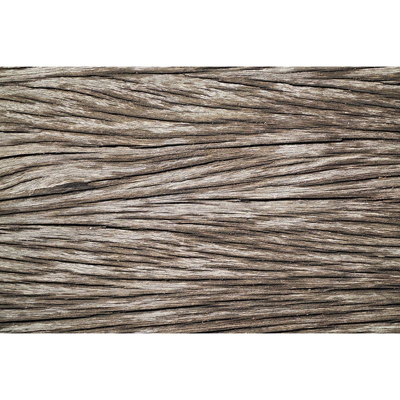Modern Photography Mural Wallpaper Wood Texture Indoor Wall Mural