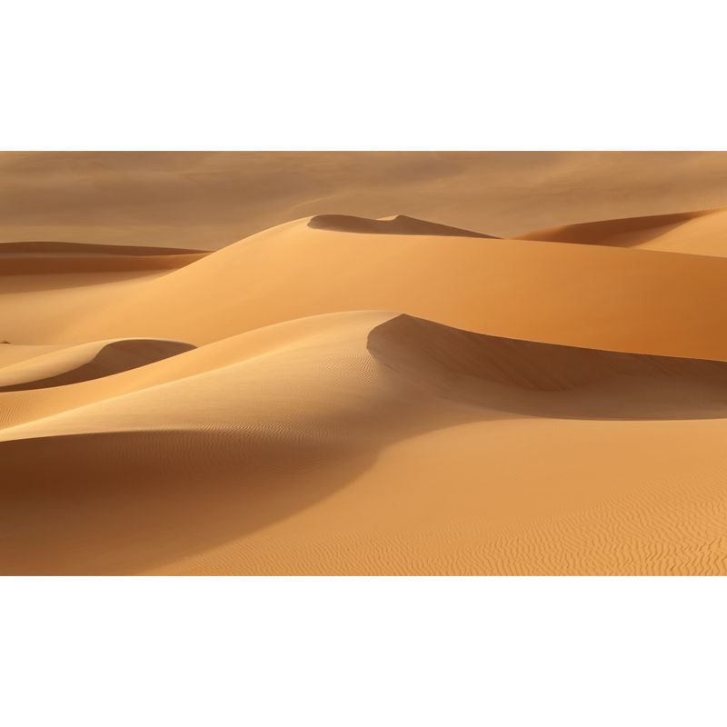 Whole Desert Mound Wallpaper Mural for Home Nature Landscape Wall Art in Yellow, Washable