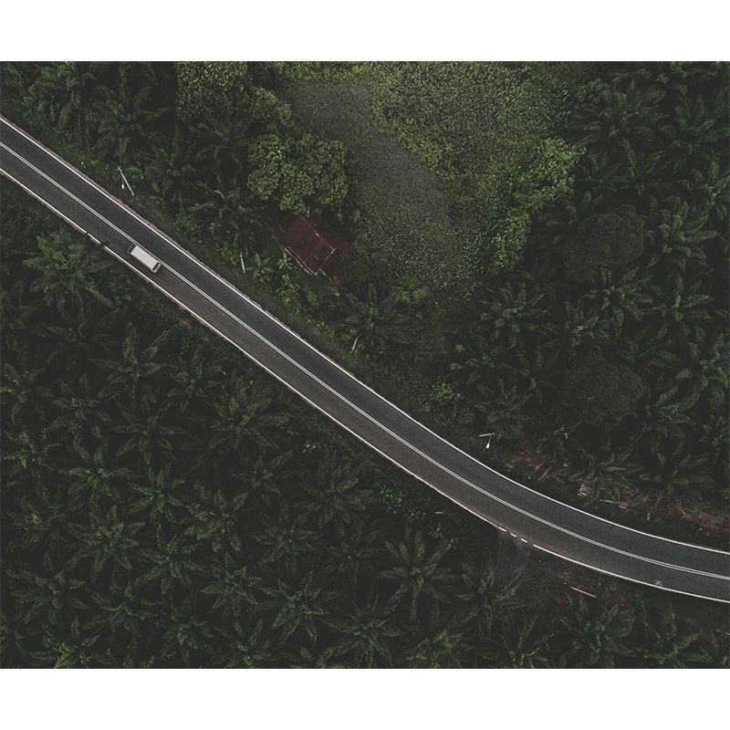 Horizontal Photography Curvy Road Mural Decorative Mildew Resistant for Living Room