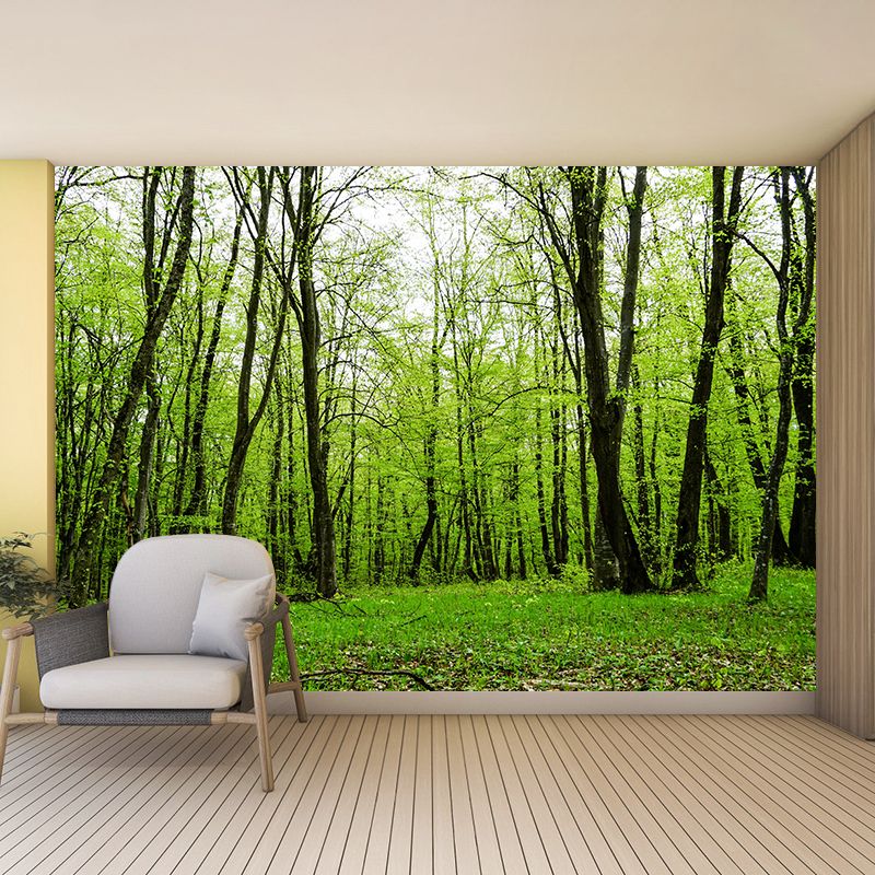 Forest Wall Mural for Sitting Room Bedroom Home Decor, Made to Measure