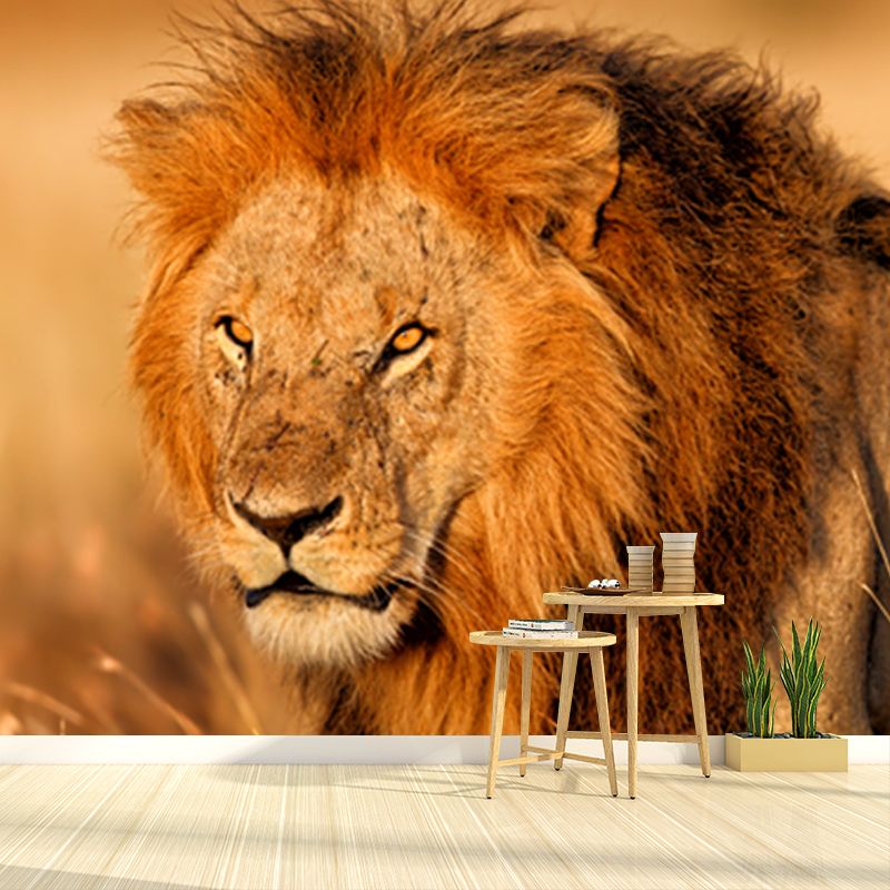 Lion of African Grassland Mural Modern Non-Woven Wall Covering in Brown for Home