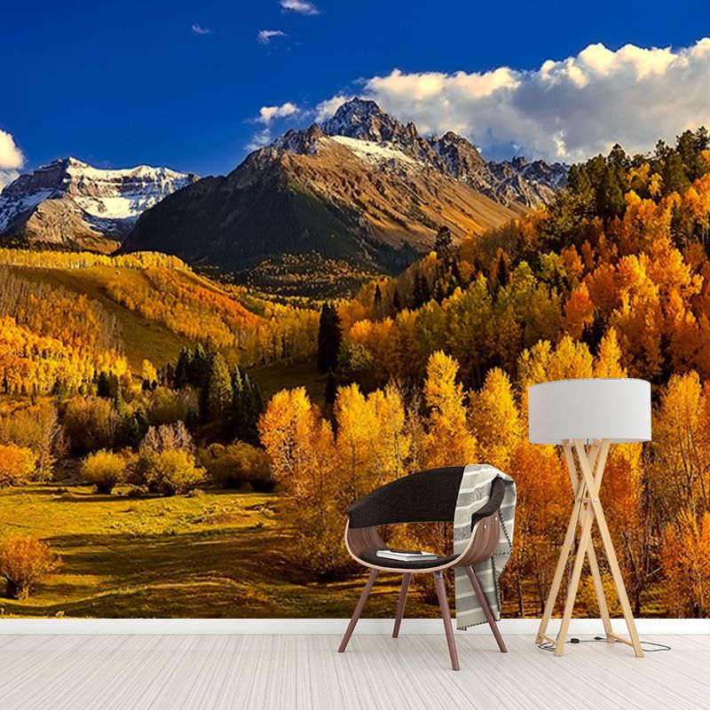 Photography Wall Mural Wallpaper Forest Sitting Room Wall Mural