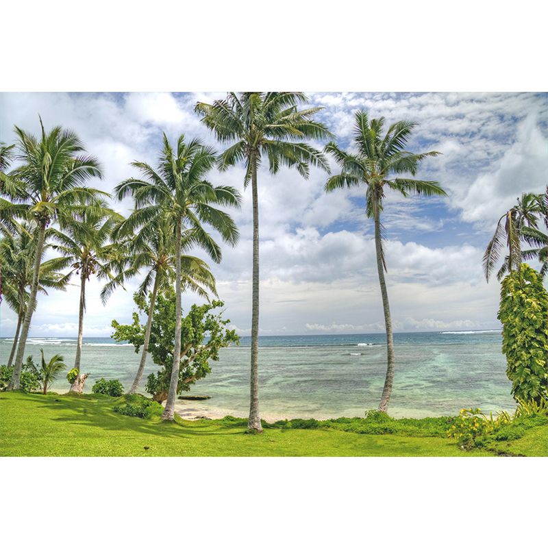 Photography Style Palm Tree Mural Environment Friendly Wallpaper for Home Decor
