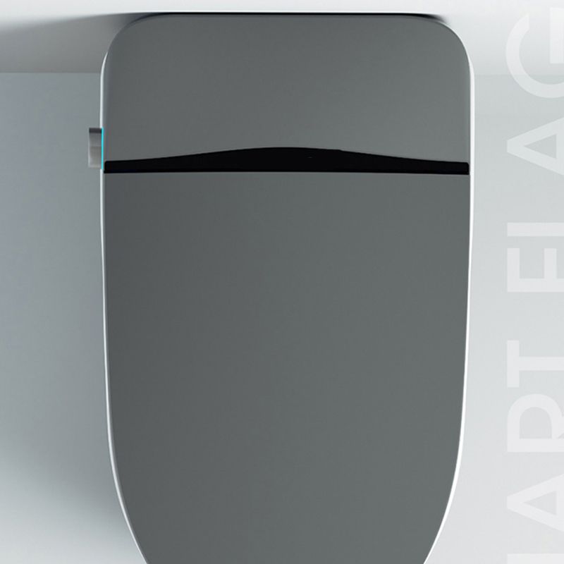 Contemporary Floor Standing Bidet Temperature Control Floor Mount Bidet