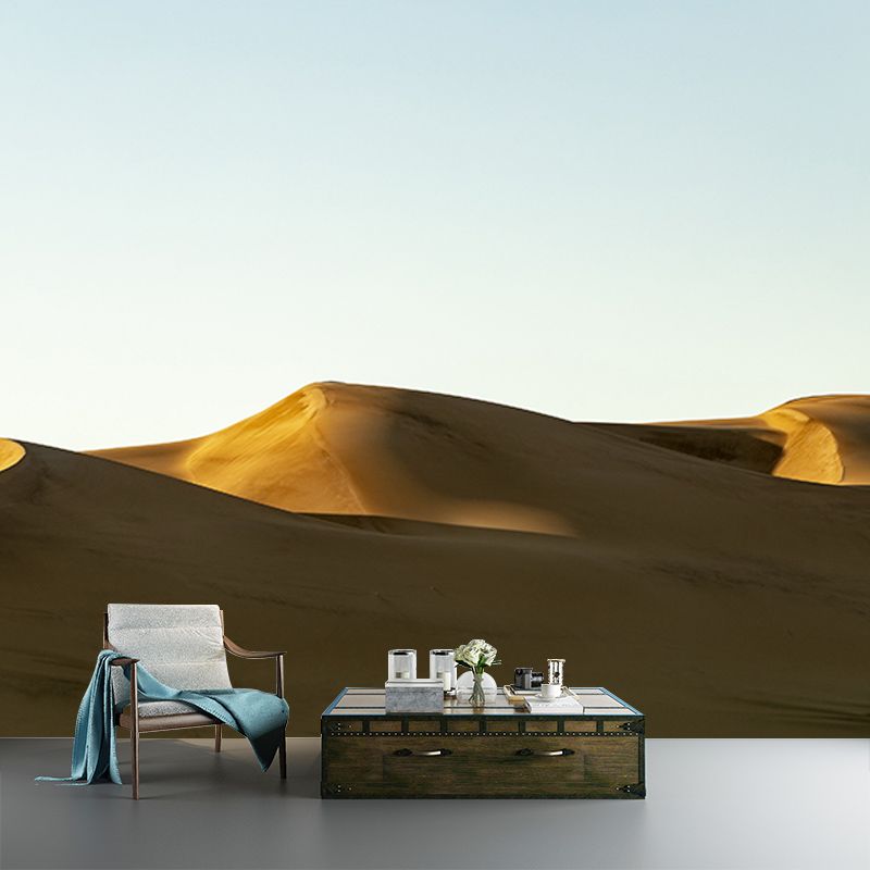 Environmental Photography Mural Wallpaper Desert Landscape Indoor Wall Mural
