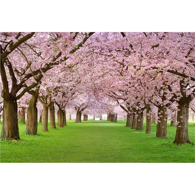 Extra Large Modern Mural Wallpaper in Pink Cherry Trees Wall Decor, Custom Printed