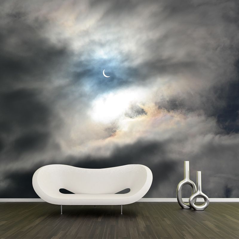 Mildew Resistant Sky Mural Contemporary Sleeping Room Wall Mural