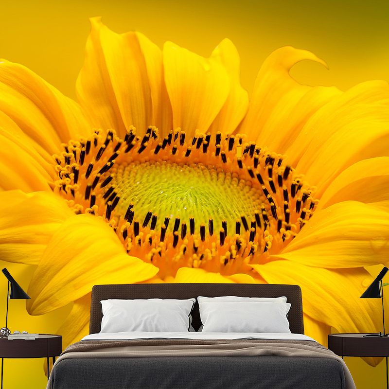 Sunflower Mural Contemporary Landscapes Scene Wall Decor for Decoration