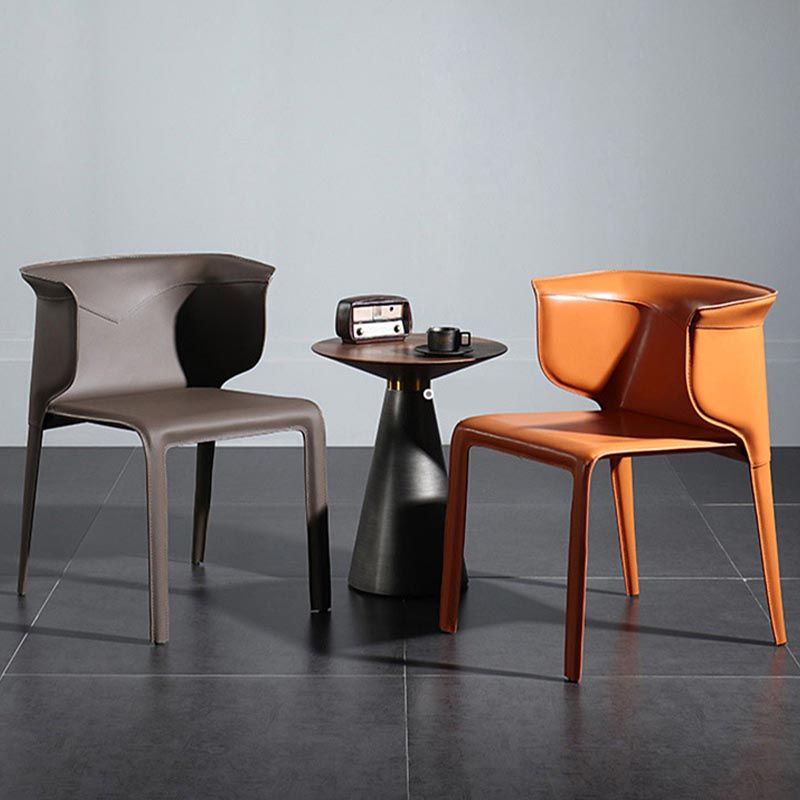 Metal Contemporary Indoor Chair with Leather Legs Matte Finish Side Chair for Dining Room