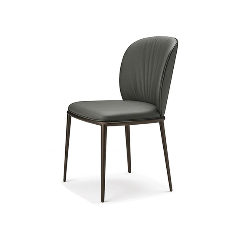 Modern Dining Chairs Armless Dining Chairs with Metal Legs for Kitchen