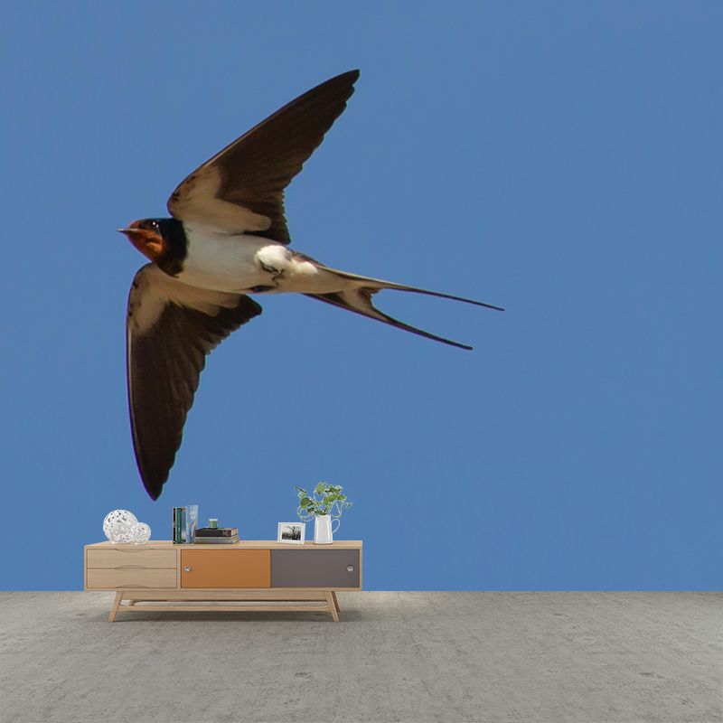 Swallow Animal Wallpaper Mural Contemporary Style Wall Art for Living Room