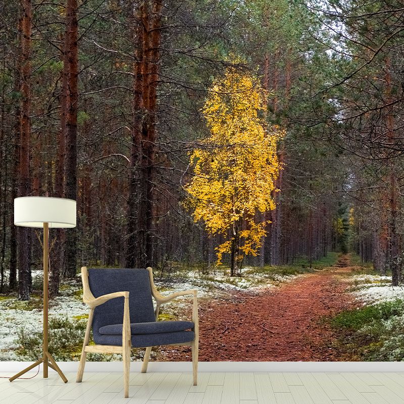 Forest Mural Wallpaper Full Size Stain-Resistant Living Room Home Decor