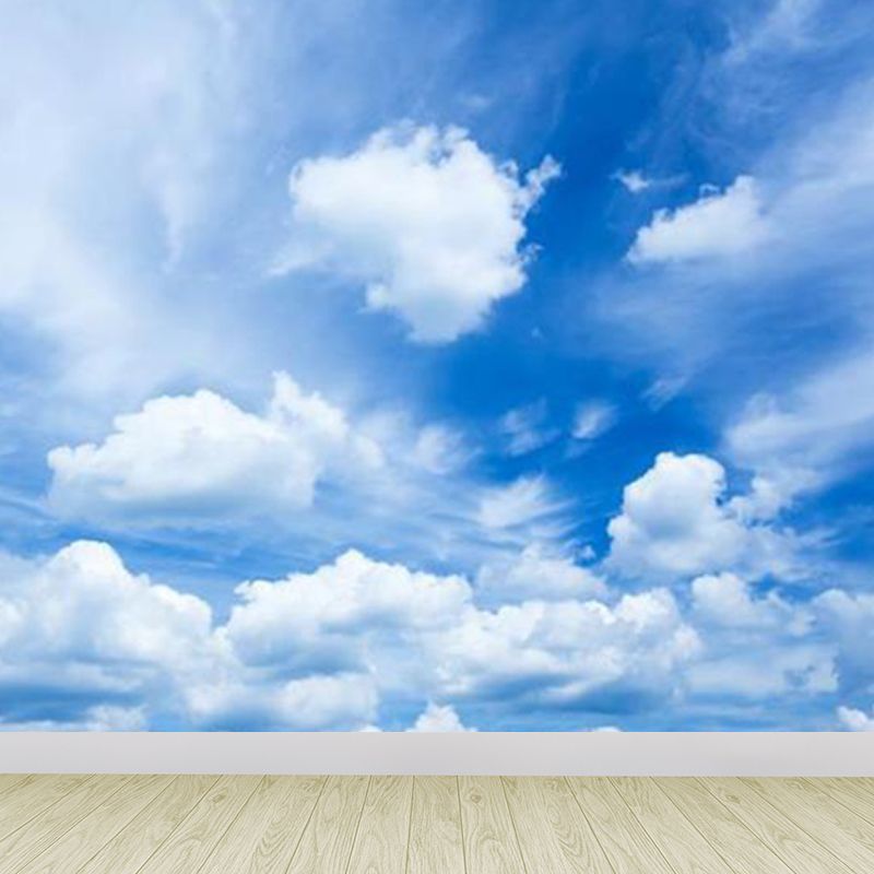 Full Size Illustration Modern Mural Decal with Sky Scene in Soft Color, Made to Measure