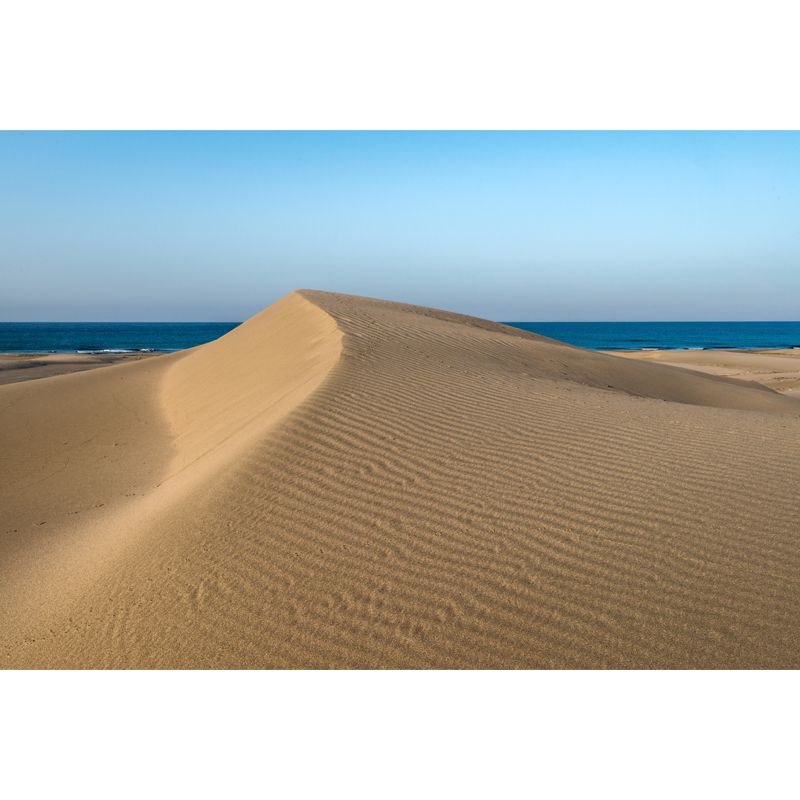 Yellow Modern Mural Decal Big Sand Dune and Distant Sea Skyline Wall Art for Living Room