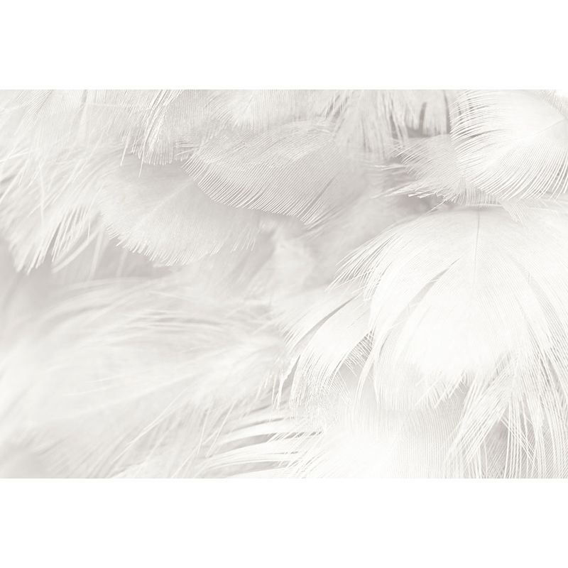 Bird Feather Mural Wallpaper Modern Decorative Kitchen Wall Art, Custom Size Available