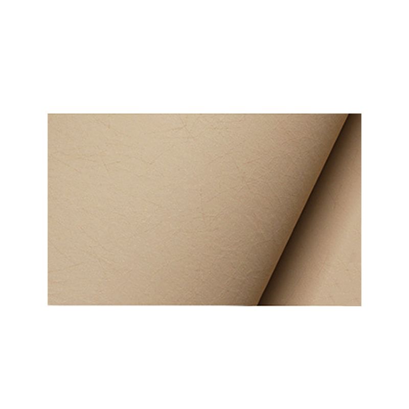 Bedroom and Dress Shop Wallpaper Stain-Resistant Non-Pasted Wallpaper, 33' x 20.5"