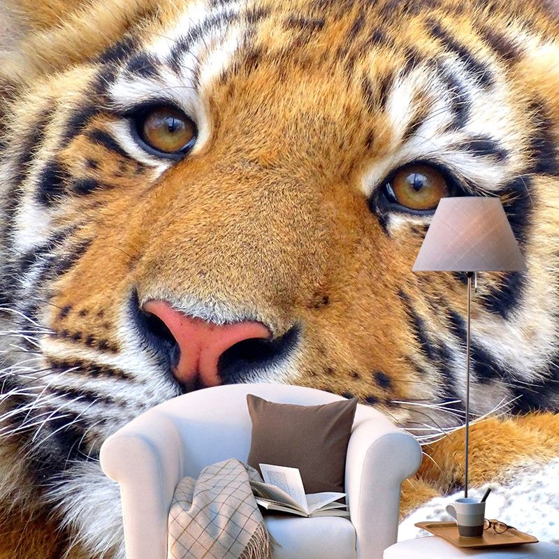 Photography Wild Animal Tiger Mural Wallpaper Environment Friendly for Living Room