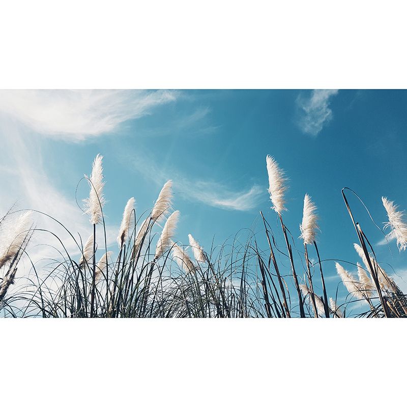 Plants Stain Resistant Wall Mural Washable Wallpaper Sitting Room Wall Mural