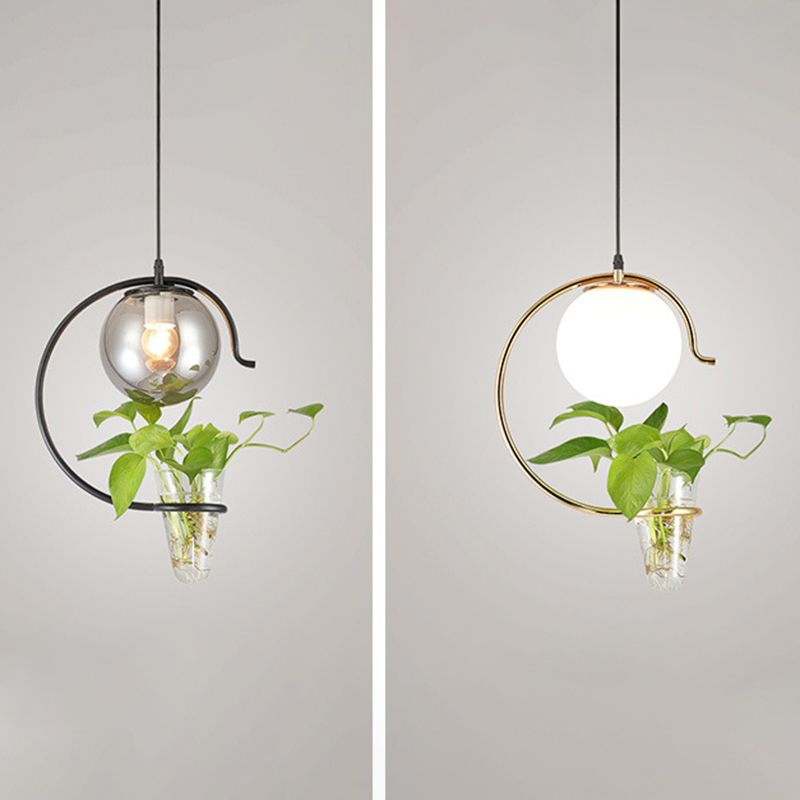 1 Light Hydroponics Botany Pendant Light moderne moderne Minimaliste en verre sphérique Salle de restauration