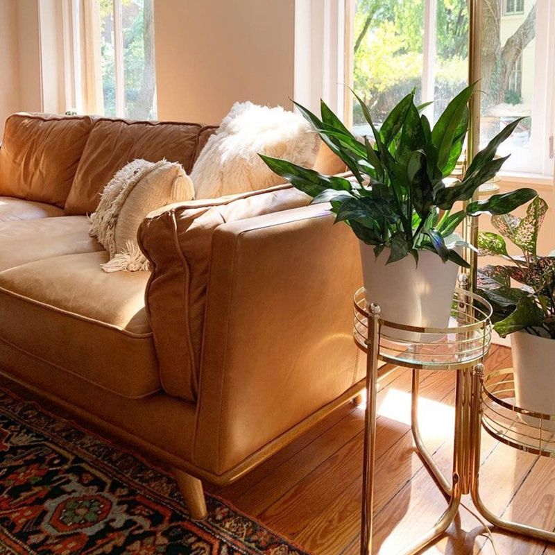 Fabric Pillow Top Arm Sofa 31.5"High Cushion Back Sectional Sofa,Brown