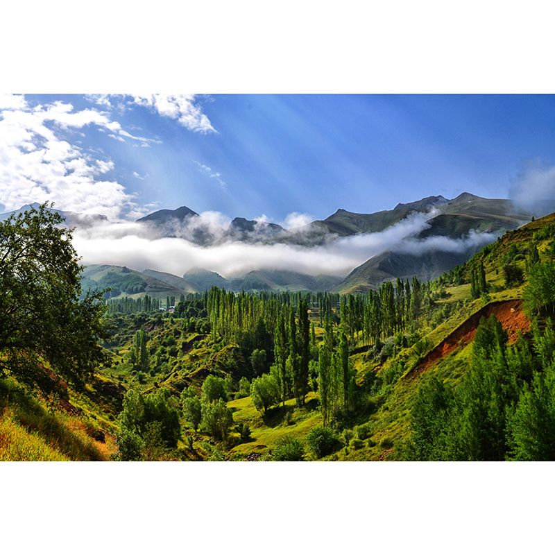 Photography Mildew Resistant Wallpaper Mountain Living Room Wall Mural