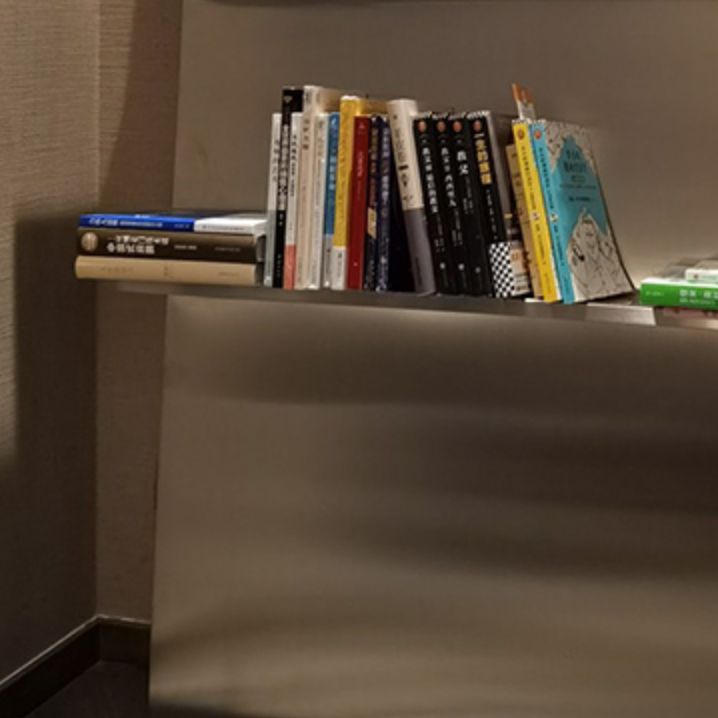 Contemporary Stainless Steel Bookcase Standard Closed Back Bookshelf for Bedroom