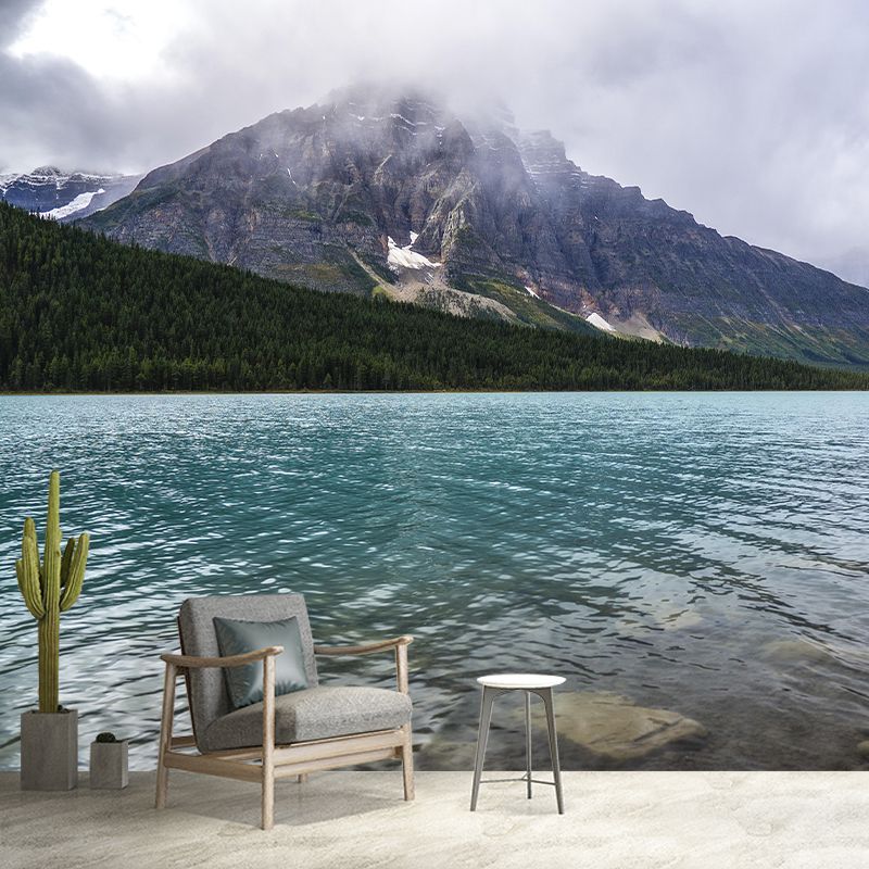 Photography Mural Wallpaper for Sitting Room Decor Multiple Sizes Available