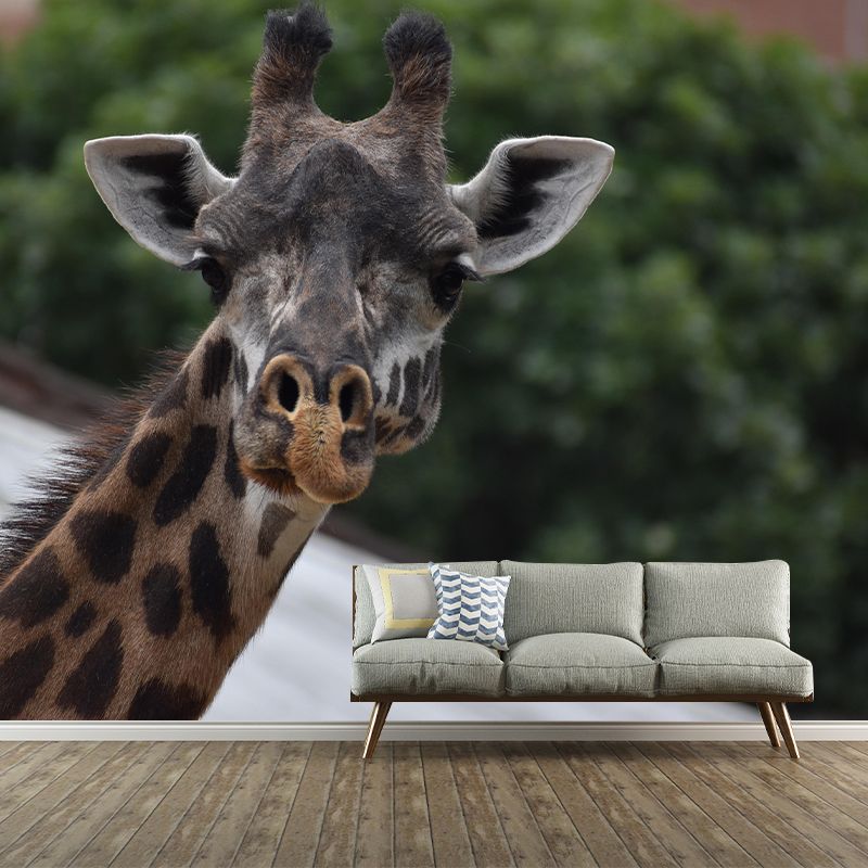 Giraffe Animal Mural Wallpaper Stain Resistant Wall Covering for Living Room
